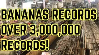 Тур Bananas Records: более 3 миллионов пластинок! Сент-Питерсберг, Флорида