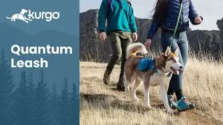 The Quantum Leash | 6-in-1 dog leash