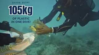 105 kg of Waste Removed from a Marine Protected Area in Dahab | Underwater Cleanup Mission