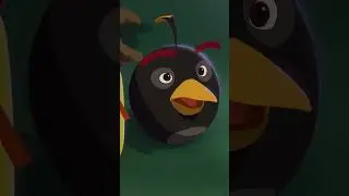 Where are the Angry Birds going? 🛸😮