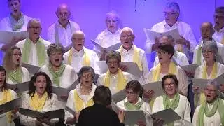 Ticino e vino