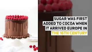 5 Best Chocolate Shops in Orlando & Disney | LAVS GUIDE