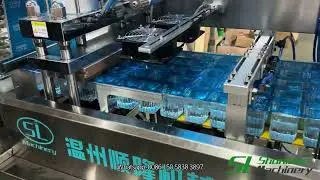 SL Machinery  | High-Speed 200ml Cup Water Form Fill Seal Machine