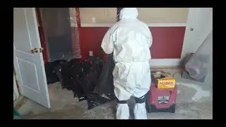How to Mold Remediation - Flood Damage Restoration, LLC of Pueblo & Colorado Springs