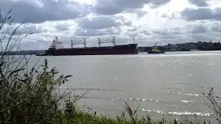 Tilbury Island