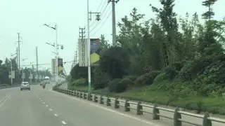 European Panda Fans Travel to Qingshen