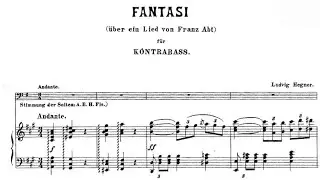 Ludvig Hegner - 