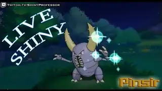 LIVE Shiny Pinsir (64) DexNav Encounters in Pokemon ORAS