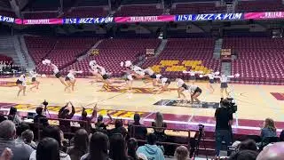U of M Pom