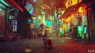 Stray - Midtown - Open World Free Roam Gameplay (PC UHD) [4K60FPS]