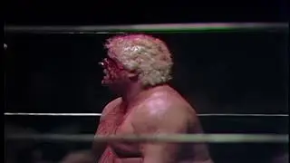 Dusty Rhodes vs Hacksaw Duggan (with Col. Buck Robley)