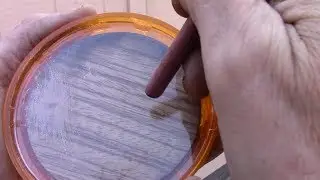 Preparing a Glass Pot Call for Turkey Hunting