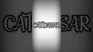 Perbedaan Cat Dasar dan Plamir