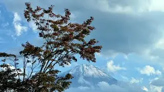 Mount Fuji Scenic Spots Day Tour from Tokyo | 4K Video 60fps