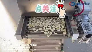 300kgh Automatic Garlic Clove Peeling Machine