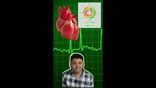 Cardiac cycle in 1 min ❤️| NEET 2026 |Class 11