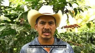 Honduran Coffee | Specialty Coffee SHG