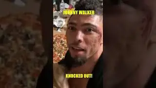 Johnny Walker Brutally KNOCKED OUT by Jamahal Hill! #shorts
