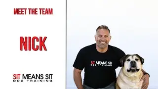 An Interview with Nick | Meet the Trainers at Sit Means Sit Dog Training Colorado Springs