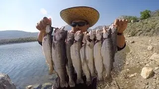 Mammoth Lakes Fishing