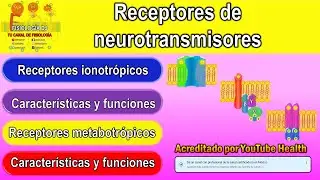 Neurotransmisores | Sistema nervioso central | Receptores ionotrópicos y metabotrópicos