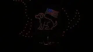 Drone light show at the pet-friendly event Furry Freedom Fest