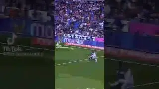 Автор fan_footboll #music #cat #scary #live #Роналду #футбол