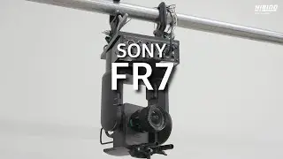 FR7