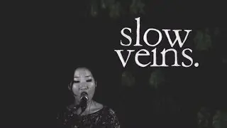 weish - slow veins | dunce DETENTIONS #001