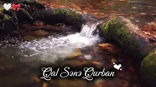 Qal sənə qurban - AI cover akustic