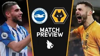 Brighton vs Wolves - Match Preview