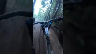 LTD #mtb #downhillmtb #mountainbike #pnw #yttues  #gopro #ytshorts #sram #dtswiss #renthal