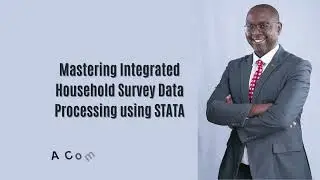 Stata Programming-Mastering Household Survey Data Processing