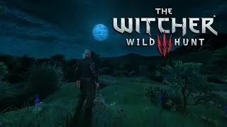 🌕 Calm Witcher Night Ambience for Sleep & Relaxing | Fantasy World ASMR #ambient #calm