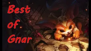 [Season 7] Best of Gnar