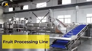 Best fruit and vegetable processing line