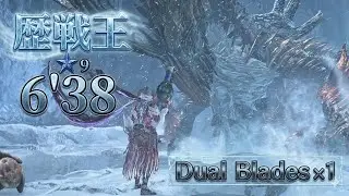 ★9歴戦王ジン・ダハド ⑥ 6'38  チャレクエ 灼熱化型火事場 双剣ソロ「なんで上行っちゃうん???!!」　【MHWilds】ps5