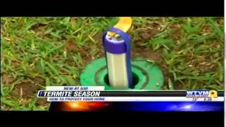 Termite Control & Damage Prevention: Tips for Termite Season in Columbus, GA by Arrow Exterminators