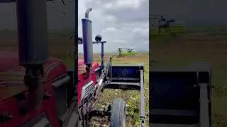 Moog harvesting #farming #tractor #harvesharvests ng sts
