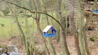 Krm&iacute;tko