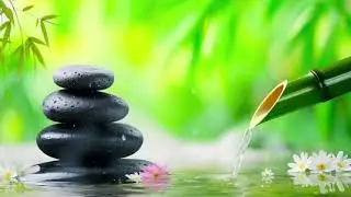 Healing Music for Inner Peace 🌿 Relaxing Music & Nature Sounds for Deep Sleep & Stress Relief
