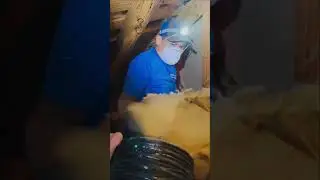 Old Attic Insulation Removal | Before We Upgrade This Home #Shorts #InsulationRemoval