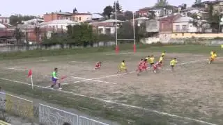 aia vs lelo