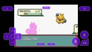 Pokemon CAWP: If I say no to bribery 