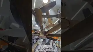 Online Loot ❌ | Offline King 👑 | 3 Premium Fans Deal 💨 | ashoka Electricals | #shortsvideo #shorts