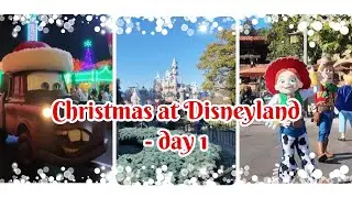 First full Disneyland Resort day 2025~Christmas edition