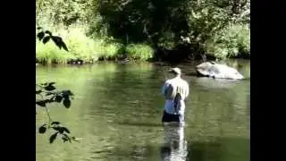 Fishing North Fork of the Middle Fork of the Willamette