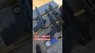 Ruger vs Taurus CCI QUIETS suppressed  comparison #airsoft #range #pewpew #shootingrange