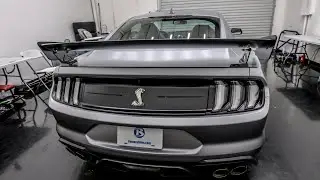 Hand-Cut Custom Xpel Stealth installation on a 2022 GT500