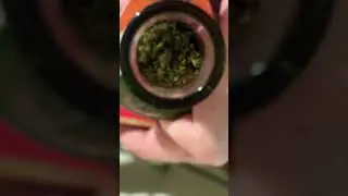 THCA flower, wicked sour 💨💨💨💨💨🔥🔥🔥🔥🔥￼